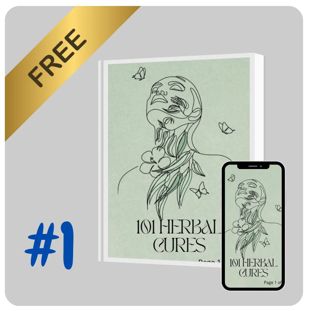 Brain Focus Mastery Guide